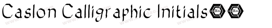 Caslon Calligraphic Initials字体转换